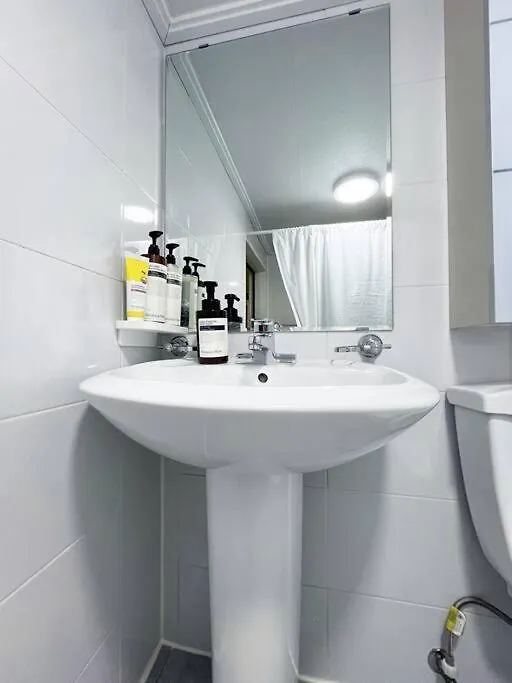 Clean & All New - Songridan-Gil, Seokchon Lake, Lotte World, Kspo Dome, Olympic Park, Han River, Asan Hospital, Coex Seoul Villa