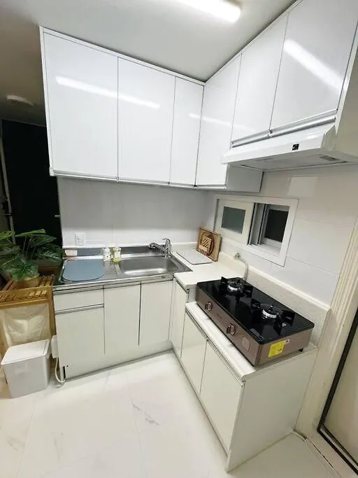 Clean & All New - Songridan-Gil, Seokchon Lake, Lotte World, Kspo Dome, Olympic Park, Han River, Asan Hospital, Coex Seul Villa